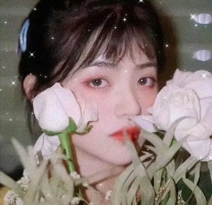 星星月亮太阳[上集]