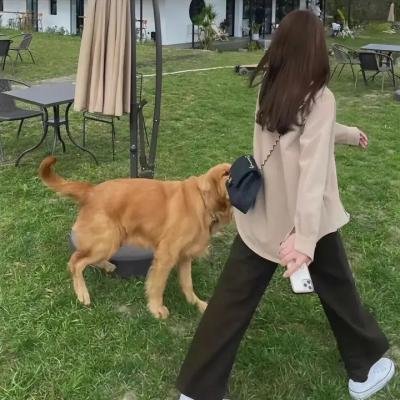 爱慕痴狂